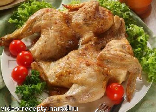 планета суши самара