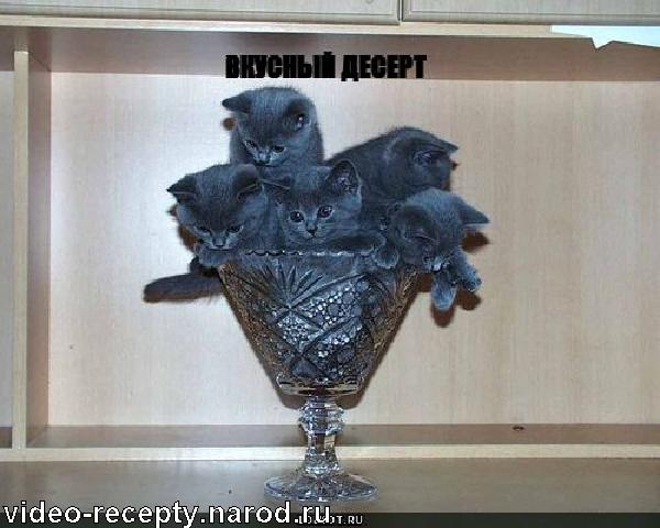 суши бар евразия