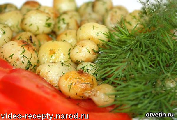 заказ суши спб